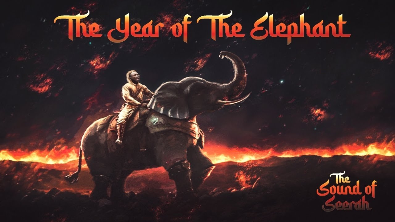 Johnson Duro voice over of The year of the elephant